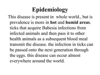 Epidemiology
This disease is present in whole world., but is
prevalence is more in hot and humid areas.
ticks that acquire Babesia infections from
infected animals and then pass it to other
health animals as a subsequent blood meal
transmit the disease. the infection in ticks can
be passed onto the next generation through
the eggs. this disease can occur almost
everywhere around the world.
 