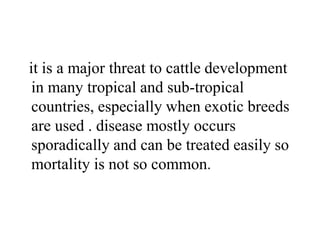 it is a major threat to cattle development
in many tropical and sub-tropical
countries, especially when exotic breeds
are used . disease mostly occurs
sporadically and can be treated easily so
mortality is not so common.
 