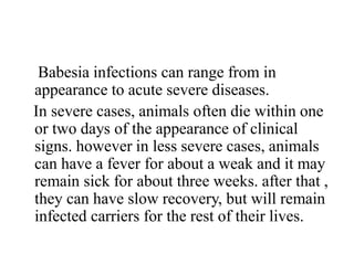 Babesia infections can range from in
appearance to acute severe diseases.
In severe cases, animals often die within one
or two days of the appearance of clinical
signs. however in less severe cases, animals
can have a fever for about a weak and it may
remain sick for about three weeks. after that ,
they can have slow recovery, but will remain
infected carriers for the rest of their lives.
 