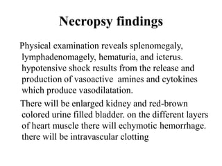 Necropsy findings
Physical examination reveals splenomegaly,
lymphadenomagely, hematuria, and icterus.
hypotensive shock results from the release and
production of vasoactive amines and cytokines
which produce vasodilatation.
There will be enlarged kidney and red-brown
colored urine filled bladder. on the different layers
of heart muscle there will echymotic hemorrhage.
there will be intravascular clotting
 