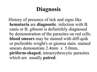 Diagnosis
History of presence of tick and signs like
hematuria are diagnostic. infection with B.
canis or B. gibsoni is definitifely diagnosed
by demonstration of the parasites on red cells.
blood smears may be stained with diff-quik
or preferable wright's or giemsa stain. stained
smears demonstrate 2.4mm x 5.0mm,
piriform-shaped, intraerythrocytic parasites
which are usually paired.
 