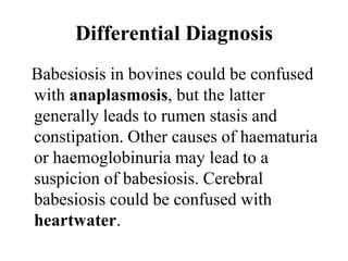 Differential Diagnosis
Babesiosis in bovines could be confused
with anaplasmosis, but the latter
generally leads to rumen stasis and
constipation. Other causes of haematuria
or haemoglobinuria may lead to a
suspicion of babesiosis. Cerebral
babesiosis could be confused with
heartwater.
 