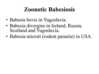 Zoonotic Babesiosis
• Babesia bovis in Yugoslavia.
• Babesia divergins in Ireland, Russia,
Scotland and Yugoslavia.
• Babesia microti (rodent parasite) in USA.
 