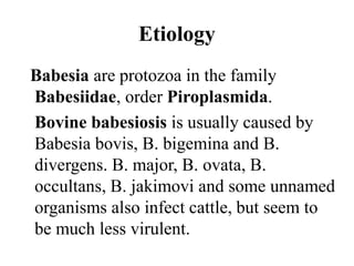 Etiology
Babesia are protozoa in the family
Babesiidae, order Piroplasmida.
Bovine babesiosis is usually caused by
Babesia bovis, B. bigemina and B.
divergens. B. major, B. ovata, B.
occultans, B. jakimovi and some unnamed
organisms also infect cattle, but seem to
be much less virulent.
 