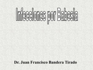 Dr. Juan Francisco Bandera Tirado
 