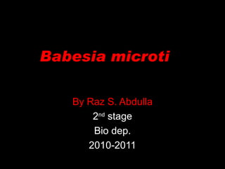 Babesia microti  By Raz S. Abdulla 2 nd  stage Bio dep. 2010-2011 