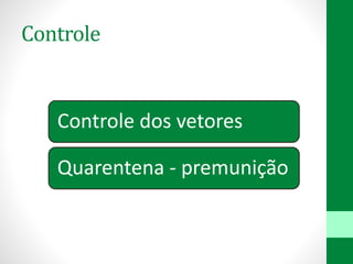 Controle
Controle dos vetores
Quarentena - premunição
 