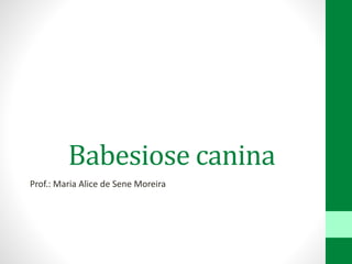 Babesiose canina
Prof.: Maria Alice de Sene Moreira
 