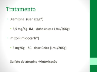 Tratamento
• Diamizina (Ganazeg®)
• 3,5 mg/Kg- IM – dose única (1 mL/20Kg)
• Imizol (Imidocarb®)
• 6 mg/Kg – SC– dose única (1mL/20Kg)
Sulfato de atropina →intoxicação
 