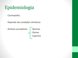 Epidemiologia
• Cosmopolita
• Depende das condições climáticas
• Animais susceptíveis - Bovinos
- Ovinos
- Caprinos
 
