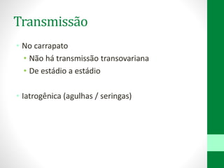 Transmissão
• No carrapato
• Não há transmissão transovariana
• De estádio a estádio
• Iatrogênica (agulhas / seringas)
 