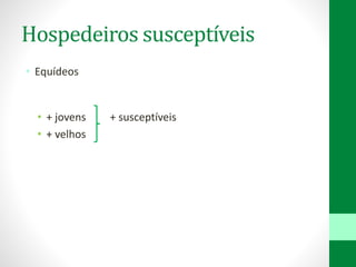 Hospedeiros susceptíveis
• Equídeos
• + jovens + susceptíveis
• + velhos
 