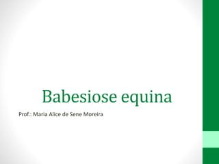 Babesiose equina
Prof.: Maria Alice de Sene Moreira
 