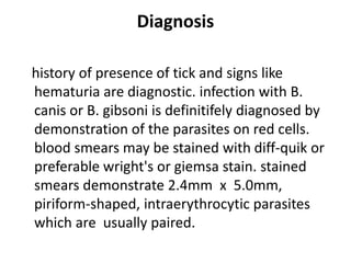 Diagnosis
history of presence of tick and signs like
hematuria are diagnostic. infection with B.
canis or B. gibsoni is definitifely diagnosed by
demonstration of the parasites on red cells.
blood smears may be stained with diff-quik or
preferable wright's or giemsa stain. stained
smears demonstrate 2.4mm x 5.0mm,
piriform-shaped, intraerythrocytic parasites
which are usually paired.
 
