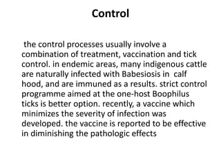 Control
the control processes usually involve a
combination of treatment, vaccination and tick
control. in endemic areas, many indigenous cattle
are naturally infected with Babesiosis in calf
hood, and are immuned as a results. strict control
programme aimed at the one-host Boophilus
ticks is better option. recently, a vaccine which
minimizes the severity of infection was
developed. the vaccine is reported to be effective
in diminishing the pathologic effects
 