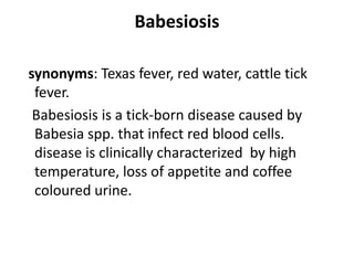 Babesiosis
synonyms: Texas fever, red water, cattle tick
fever.
Babesiosis is a tick-born disease caused by
Babesia spp. that infect red blood cells.
disease is clinically characterized by high
temperature, loss of appetite and coffee
coloured urine.
 