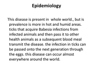 Epidemiology
This disease is present in whole world., but is
prevalence is more in hot and humid areas.
ticks that acquire Babesia infections from
infected animals and then pass it to other
health animals as a subsequent blood meal
transmit the disease. the infection in ticks can
be passed onto the next generation through
the eggs. this disease can occur almost
everywhere around the world.
 