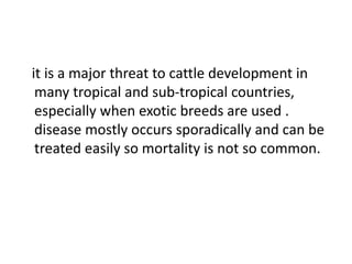 it is a major threat to cattle development in
many tropical and sub-tropical countries,
especially when exotic breeds are used .
disease mostly occurs sporadically and can be
treated easily so mortality is not so common.
 