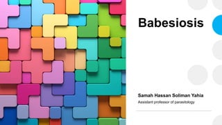 Babesiosis
Samah Hassan Soliman Yahia
Assistant professor of parasitology
 