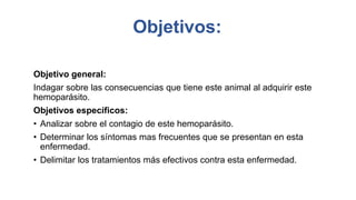 Objetivos:
Objetivo general:
Indagar sobre las consecuencias que tiene este animal al adquirir este
hemoparásito.
Objetivos específicos:
• Analizar sobre el contagio de este hemoparásito.
• Determinar los síntomas mas frecuentes que se presentan en esta
enfermedad.
• Delimitar los tratamientos más efectivos contra esta enfermedad.
 