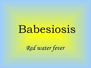 Babesiosis
Red water fever
 