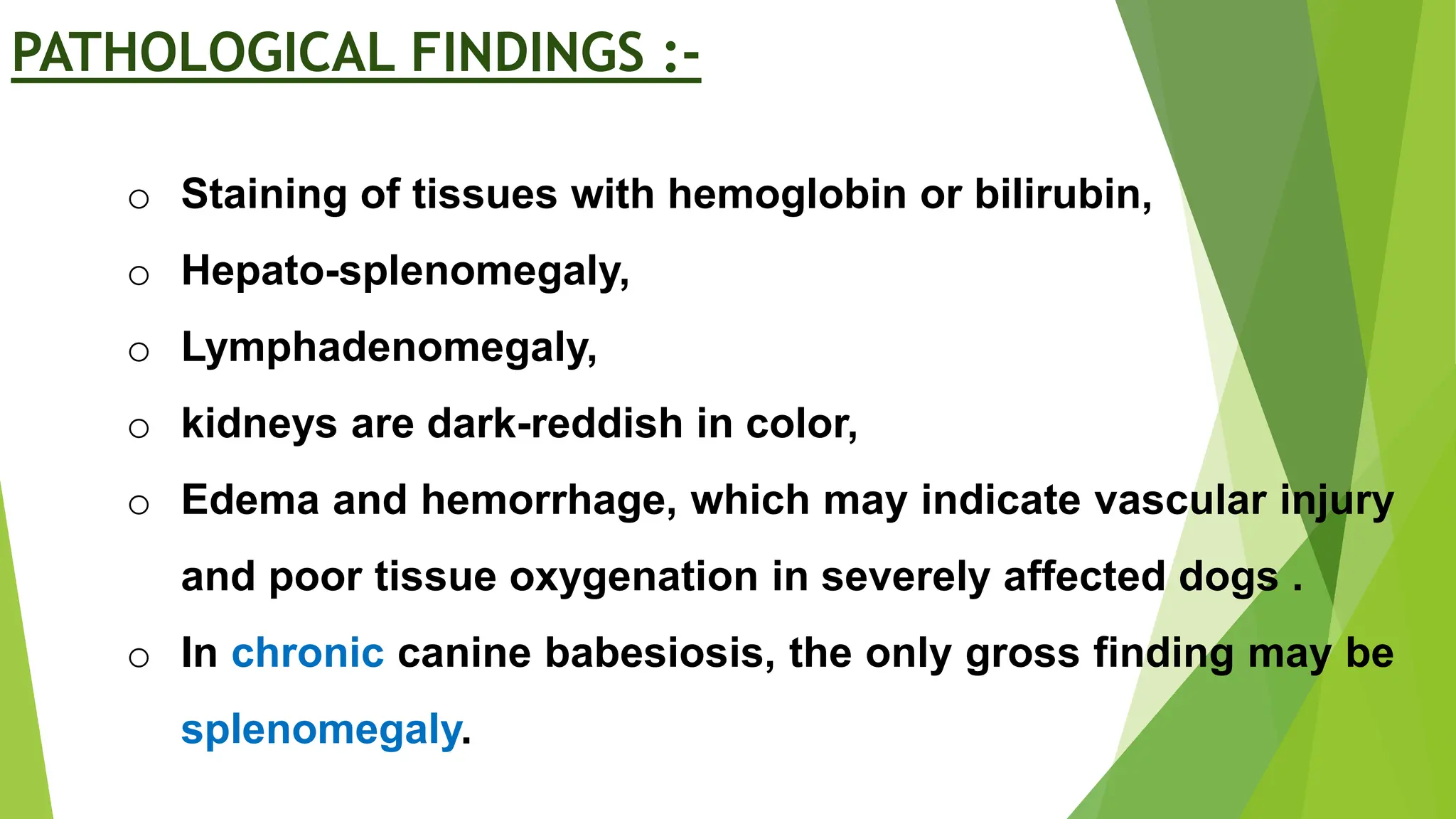 Babesiosis in Dogs Haemoprotozoan disease.pptx