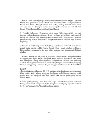 2. Bercak Daun (Cercospora personata) disebabkan oleh jamur. Gejala : terdapat
bercak pada permukaan daun sebelah atas berwarna coklat sedangkan sebelah
bawah daun hitam. Ditengah bercak daun kadang-kadang terdapat bintik hitam
dari Conidiospora. Serangan muncul biasanya pada tanaman umur 40 -50 hari
hingga 70 hari Pengendalian: Anthracol atau Daconil

3. Penyakit Selerotium Disebabkan oleh jamur Selerotium rolfsii, merusak
tanaman pada waktu cuaca lembab. Gejala : terdapat bercak hitam pada pangkal
batang dan tanaman yang terserang akan layu dan mati. Pengendalian : tanaman
yang terserang dicabut dan dibakar, memperbaiki saluran drainase agar air tidak
tergenang.

4. Penyakit Karat (Uromyces arachidae) Gejala: pada daun terdapat bercak-bercak
coklat muda sampai coklat (warna karat). Daun gugur sebelum waktunya.
Pengendalian:, menanam varitas yang tahan, tanaman yang terserang dicabut dan
dibakar.

5. Penyakit sapu setan Penyebab: Mycoplasma (sejenis virus). Diduga ditularkan
serangga sejenis Aphis. Gejala: bunga berwarna hijau tua, daun-daun kecil, ruas-
ruas batang dan cabang menjadi pendek. Pengendalian: tanaman yang terserang
dicabut, dibuang dan dimusnahkan, sanitasi lingkungan, menanam tanaman yang
tahan, menanggulangi vektornya dengan menggunakan Pestona atau Natural BVR

PANEN
• Panen dilakukan pada umur 100 -110 hari yang ditandai dengan : sebagian daun
telah rontok, kulit polong mengeras dan berwarna kehitaman, polong berisi
penuh, kulit biji mengkilat dan tidak berair, jika ditekan pada ujung polong
mudah pecah.

• Selain polong kering, hasil lain yang dapat dimanfaatkan dalam usahatani
kacang tanah adalah brangkasan. Bobot brangkasan basah yang diperoleh berkisar
8,4-9,1 ton/ha atau 2,5-2,7 ton/ha brangkasan kering.




                                     10
 