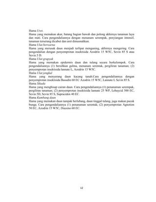 Hama Uret.
Hama yang memakan akar, batang bagian bawah dan polong akhirnya tanaman layu
dan mati. Cara pengendaliannya dengan menanam serempak, penyiangan intensif,
tanaman terserang dicabut dan uret dimusnahkan.
Hama Ulat berwarna
Hama yang merusak daun menjadi terlipat menguning, akhirnya mengering. Cara
pengendalian dengan penyemprotan insektisida Azodrin 15 W5C, Sevin 85 S atau
Sevin 5 D.
Hama Ulat grapyak
Hama yang memakan epidermis daun dan tulang secara berkelompok. Cara
pengendaliannya (1) bersihkan gulma, menanam serentak, pergiliran tanaman; (2)
penyemprotan insektisida lannate L, Azodrin 15 W5C.
Hama Ulat jengkal
Hama yang menyerang daun kacang tanah.Cara pengendaliannya dengan
penyemprotan insektisida Basudin 60 EC Azodrin 15 W5C, Lannate L Sevin 85 S.
Hama Sikada
Hama yang menghisap cairan daun. Cara pengendaliannya (1) penanaman serempak,
pergiliran tanaman; (2) penyemprotan insektisida lannate 25 WP, Lebaycid 500 EC,
Sevin 5D, Sevin 85 S, Supraciden 40 EC.
Hama Kumbang daun
Hama yang memakan daun tampak berlubang, daun tinggal tulang, juga makan pucuk
bunga. Cara pengendaliannya (1) penanaman serentak; (2) penyemprotan Agnotion
50 EC, Azodrin 15 W5C, Diazeno 60 EC.




                                      12
 