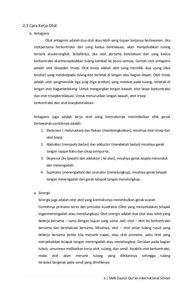 Makalah tentang Otot Manusia