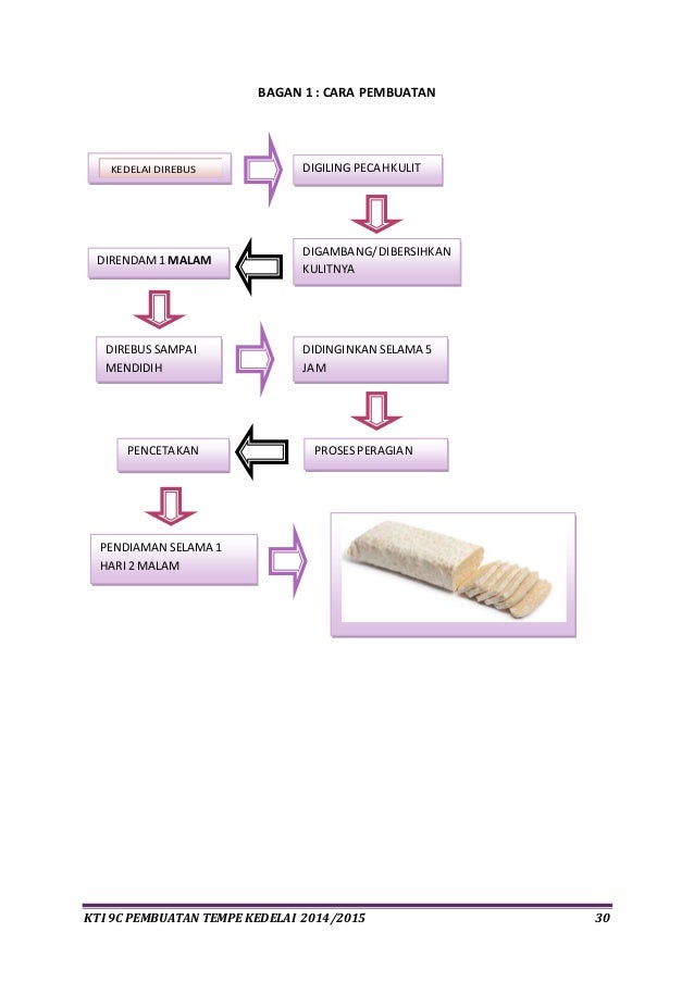 Bab I Iv Pembuatan Tempe Kedelei Vitha Dkk
