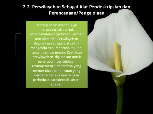 Perencanaan Dan Pengembangan Wilayah Dan Tata Ruang