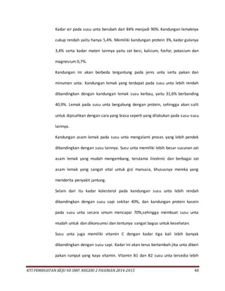 KTI PEMBUATAN KEJU 9D SMP. NEGERI 2 PASIRIAN 2014-2015 40
Kadar air pada susu unta berubah dari 84% menjadi 90%. Kandungan lemaknya
cukup rendah yaitu hanya 5,4%. Memiliki kandungan protein 3%, kadar gulanya
3,4% serta kadar materi lainnya yaitu zat besi, kalsium, fosfor, potasium dan
magnesium 0,7%.
Kandungan ini akan berbeda tergantung pada jenis unta serta pakan dan
minuman unta. Kandungan lemak yang terdapat pada susu unta lebih rendah
dibandingkan dengan kandungan lemak susu kerbau, yaitu 31,6% berbanding
40,9%. Lemak pada susu unta bergabung dengan protein, sehingga akan sulit
untuk dipisahkan dengan cara yang biasa seperti yang dilakukan pada susu-susu
lainnya.
Kandungan asam lemak pada susu unta mengalami proses yang lebih pendek
dibandingkan dengan susu lainnya. Susu unta memiliki lebih besar susunan zat
asam lemak yang mudah mengembang, terutama linolenic dan berbagai zat
asam lemak yang sangat vital untuk gizi manusia, khususnya mereka yang
menderita penyakit jantung.
Selain dari itu kadar kolesterol pada kandungan susu unta lebih rendah
dibandingkan dengan susu sapi sekitar 40%, dan kandungan protein kasein
pada susu unta secara umum mencapai 70%,sehingga membuat susu unta
mudah untuk dan dikonsumsi dan tentunya sangat bagus untuk kesehatan.
Susu unta juga memiliki vitamin C dengan kadar tiga kali lebih banyak
dibandingkan dengan susu sapi. Kadar ini akan terus bertambah jika unta diberi
pakan rumput yang kaya vitamin. Vitamin B1 dan B2 susu unta tersedia lebih
 