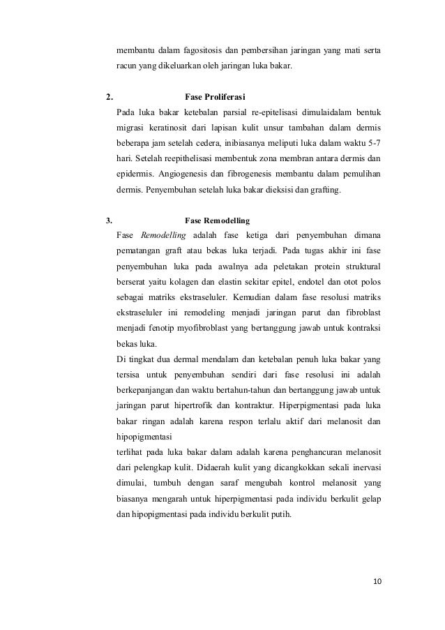 Makalah Luka Bakar Combustio