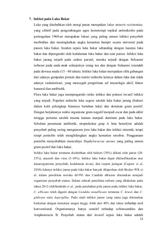 Makalah Luka Bakar Combustio