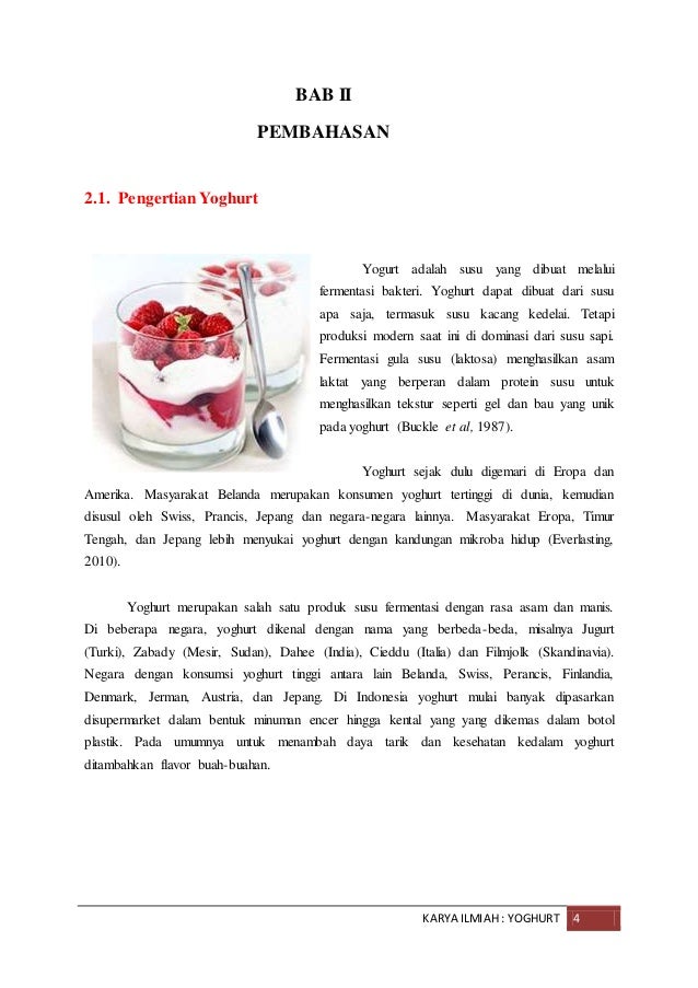 Makalah Yoghurt