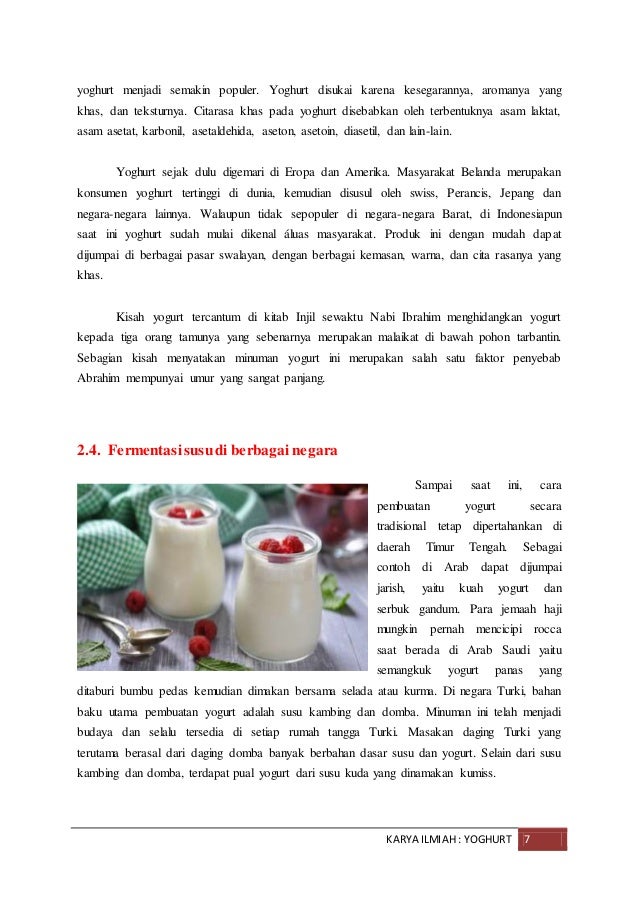 Makalah Yoghurt