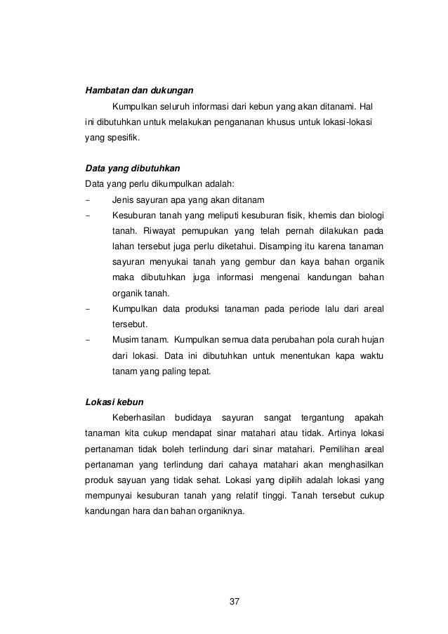 Sejumlah Tanaman Jagung Pada Sepetak Kebun Disebut - Berbagi Tanam