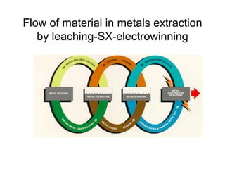 Metal Purification Process Solution Purification and Metal Recovery | PDF