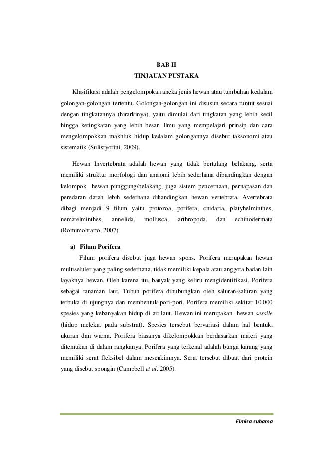 Sketsa Gambar Hewan Vertebrata