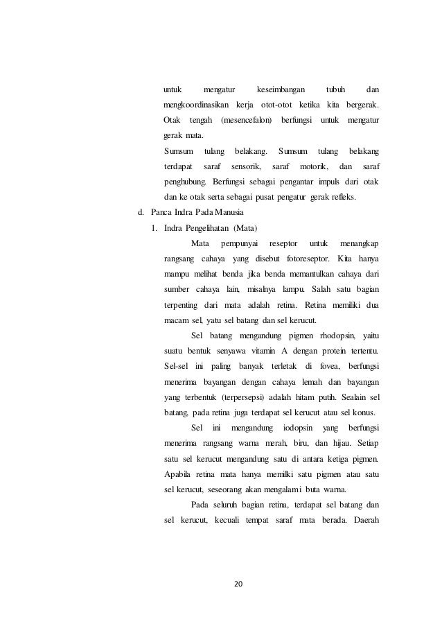 Makalah Lengkung Refleks - Makalah Refleks Fisiologis dan ...