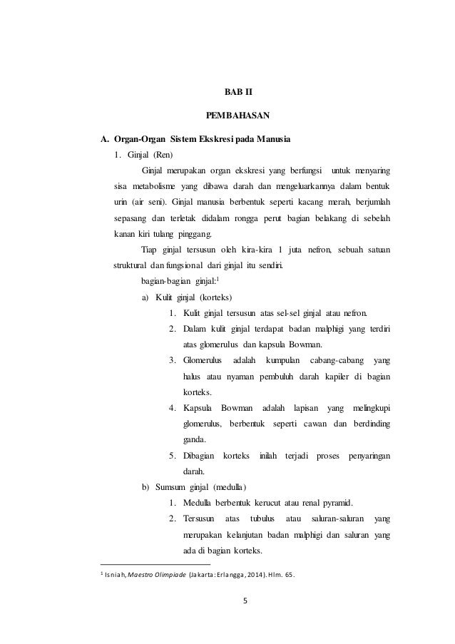 Makalah Sistem Ekskresi Pada Manusia