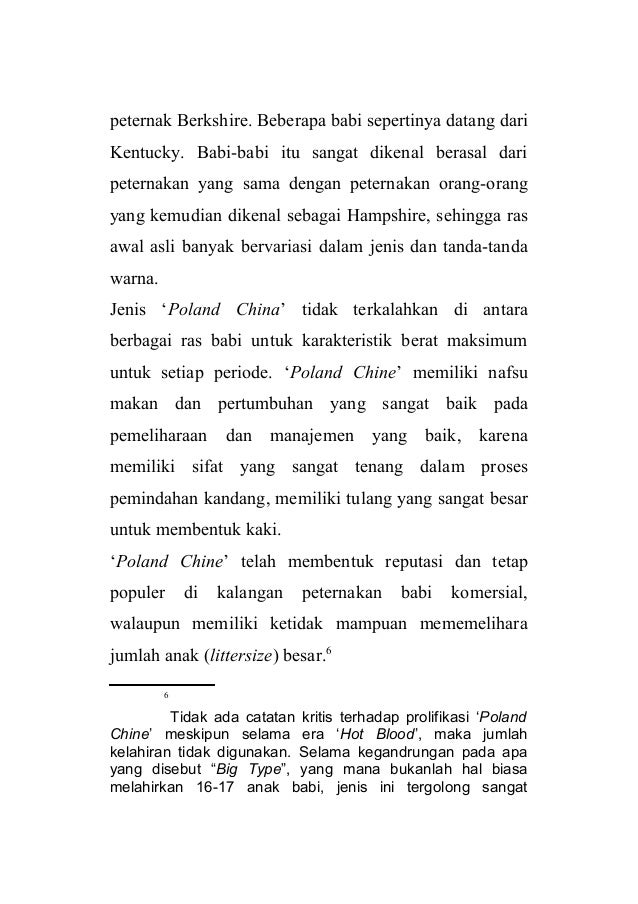 100 Gambar Babi Poland China Terlihat Keren 100 Gambar Babi Poland China Terlihat Keren