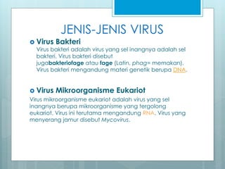 JENIS-JENIS VIRUS
 Virus Bakteri
Virus bakteri adalah virus yang sel inangnya adalah sel
bakteri. Virus bakteri disebut
jugabakteriofage atau fage (Latin, phag= memakan).
Virus bakteri mengandung materi genetik berupa DNA.
 Virus Mikroorganisme Eukariot
Virus mikroorganisme eukariot adalah virus yang sel
inangnya berupa mikroorganisme yang tergolong
eukariot. Virus ini terutama mengandung RNA. Virus yang
menyerang jamur disebut Mycovirus.
 