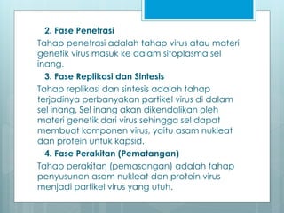 2. Fase Penetrasi
Tahap penetrasi adalah tahap virus atau materi
genetik virus masuk ke dalam sitoplasma sel
inang.
3. Fase Replikasi dan Sintesis
Tahap replikasi dan sintesis adalah tahap
terjadinya perbanyakan partikel virus di dalam
sel inang. Sel inang akan dikendalikan oleh
materi genetik dari virus sehingga sel dapat
membuat komponen virus, yaitu asam nukleat
dan protein untuk kapsid.
4. Fase Perakitan (Pematangan)
Tahap perakitan (pemasangan) adalah tahap
penyusunan asam nukleat dan protein virus
menjadi partikel virus yang utuh.
 