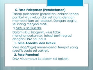 5. Fase Pelepasan (Pembebasan)
Tahap pelepasan (perakitan) adalah tahap
partikel virus keluar dari sel inang dengan
memecahkan sel tersebut. Dengan begitu,
sel inang menjadi mati.
2.SIKLUS LISOGENIK
Dalam siklus lisogenik, virus tidak
menghancurkan sel, tetapi berintegrasi
dengan DNA sel induk.
1. Fase Absorbsi dan Infeksi
Virus (fag/fage) menempel di tempat yang
spesifik pada sel bakteri.
2. Fase Penetrasi
DNA virus masuk ke dalam sel bakteri.
 