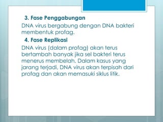 3. Fase Penggabungan
DNA virus bergabung dengan DNA bakteri
membentuk profag.
4. Fase Replikasi
DNA virus (dalam profag) akan terus
bertambah banyak jika sel bakteri terus
menerus membelah. Dalam kasus yang
jarang terjadi, DNA virus akan terpisah dari
profag dan akan memasuki siklus litik.
 