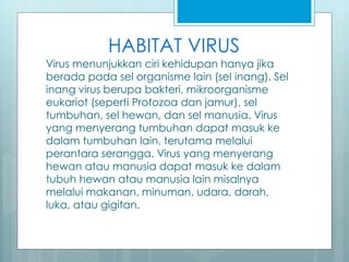 HABITAT VIRUS
Virus menunjukkan ciri kehidupan hanya jika
berada pada sel organisme lain (sel inang). Sel
inang virus berupa bakteri, mikroorganisme
eukariot (seperti Protozoa dan jamur), sel
tumbuhan, sel hewan, dan sel manusia. Virus
yang menyerang tumbuhan dapat masuk ke
dalam tumbuhan lain, terutama melalui
perantara serangga. Virus yang menyerang
hewan atau manusia dapat masuk ke dalam
tubuh hewan atau manusia lain misalnya
melalui makanan, minuman, udara, darah,
luka, atau gigitan.
 