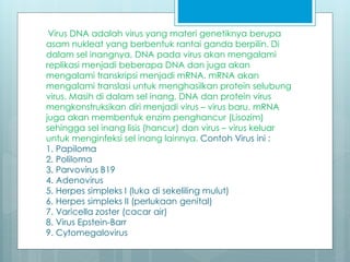 Virus DNA adalah virus yang materi genetiknya berupa
asam nukleat yang berbentuk rantai ganda berpilin. Di
dalam sel inangnya, DNA pada virus akan mengalami
replikasi menjadi beberapa DNA dan juga akan
mengalami transkripsi menjadi mRNA. mRNA akan
mengalami translasi untuk menghasilkan protein selubung
virus. Masih di dalam sel inang, DNA dan protein virus
mengkonstruksikan diri menjadi virus – virus baru. mRNA
juga akan membentuk enzim penghancur (Lisozim)
sehingga sel inang lisis (hancur) dan virus – virus keluar
untuk menginfeksi sel inang lainnya. Contoh Virus ini :
1. Papiloma
2. Poliloma
3. Parvovirus B19
4. Adenovirus
5. Herpes simpleks I (luka di sekeliling mulut)
6. Herpes simpleks II (perlukaan genital)
7. Varicella zoster (cacar air)
8. Virus Epstein-Barr
9. Cytomegalovirus
 