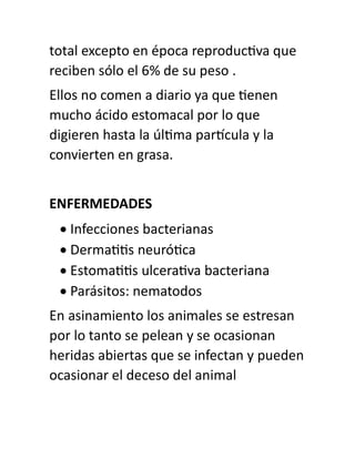 total excepto en época reproductiva que
reciben sólo el 6% de su peso .
Ellos no comen a diario ya que tienen
mucho ácido estomacal por lo que
digieren hasta la última partícula y la
convierten en grasa.
ENFERMEDADES
• Infecciones bacterianas
• Dermatitis neurótica
• Estomatitis ulcerativa bacteriana
• Parásitos: nematodos
En asinamiento los animales se estresan
por lo tanto se pelean y se ocasionan
heridas abiertas que se infectan y pueden
ocasionar el deceso del animal
 