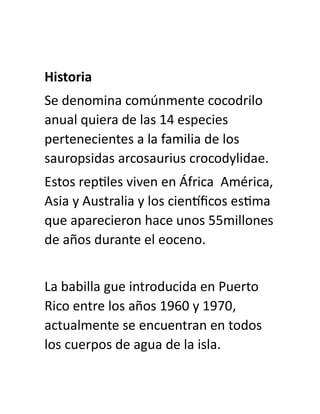 Historia
Se denomina comúnmente cocodrilo
anual quiera de las 14 especies
pertenecientes a la familia de los
sauropsidas arcosaurius crocodylidae.
Estos reptiles viven en África América,
Asia y Australia y los científicos estima
que aparecieron hace unos 55millones
de años durante el eoceno.
La babilla gue introducida en Puerto
Rico entre los años 1960 y 1970,
actualmente se encuentran en todos
los cuerpos de agua de la isla.
 